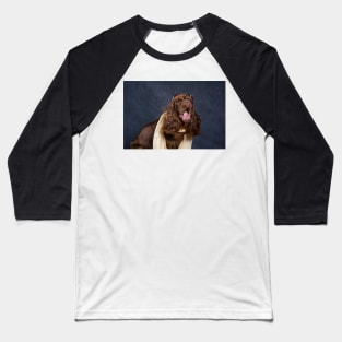 Sussex Spaniel Aviator Baseball T-Shirt